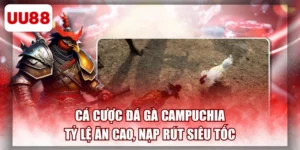 Cá Cược Đá Gà Campuchia - Tỷ Lệ Ăn Cao, Nạp Rút Siêu Tốc