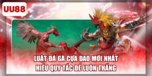 Luật Đá Gà Cựa Dao Mới Nhất - Hiểu Quy Tắc Để Luôn Thắng