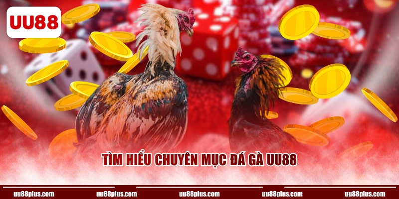 Tìm hiểu chuyên mục Đá Gà UU88